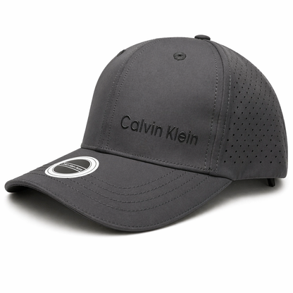 CALVIN KLEIN GRIS