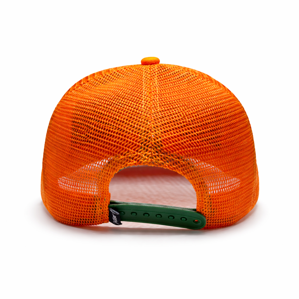 GB. TORTUGA NARANJA IRIDISCENTE