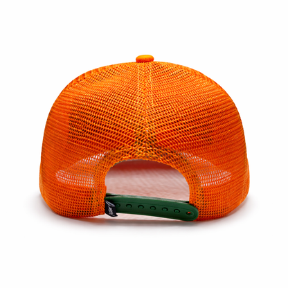GB. TORTUGA NARANJA IRIDISCENTE