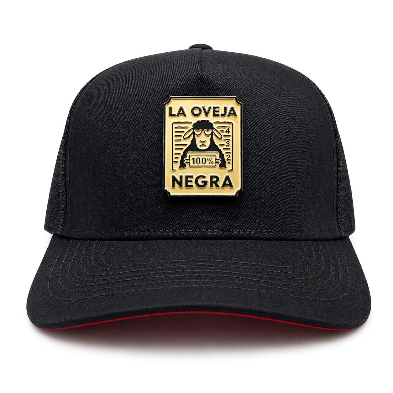OVEJA NEGRA EN PLACA