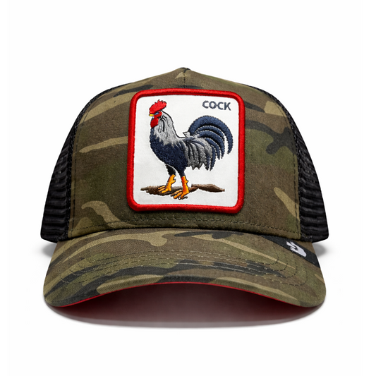 GB. GALLO CAMUFLADA